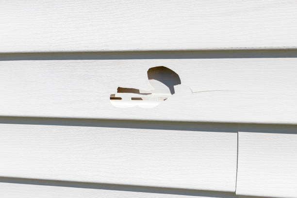 Best Composite Siding  in Coleman, MI