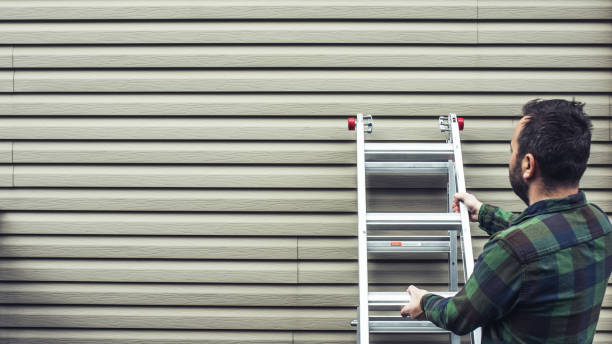 Best Stone Veneer Siding  in Coleman, MI