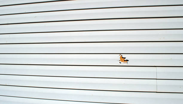 Best Siding Painting and Refinishing  in Coleman, MI