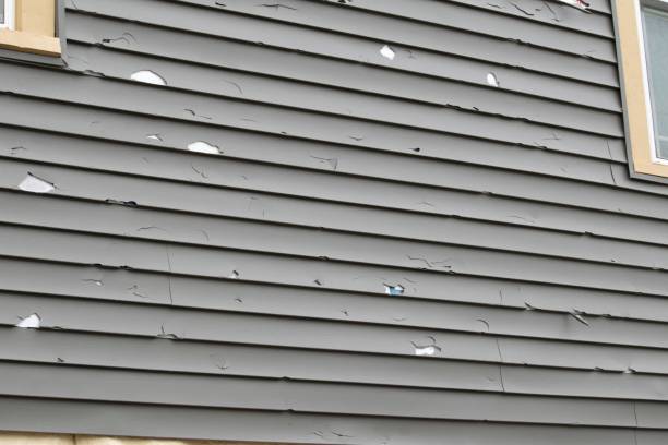 Best Engineered Wood Siding  in Coleman, MI