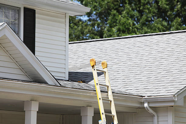 Trusted Coleman, MI Siding Installation & Repair Experts