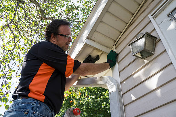 Best Siding for New Construction  in Coleman, MI